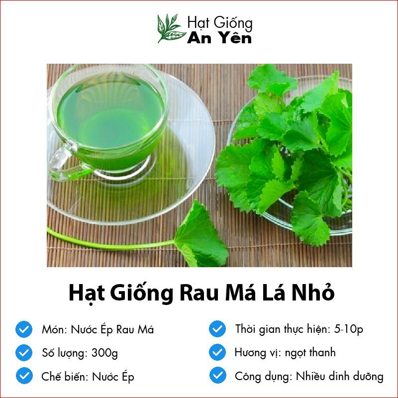 Hạt giống Rau Má Nhỏ thu hoạch sớm, dễ trồng, nảy mầm cao, sinh trưởng khoẻ