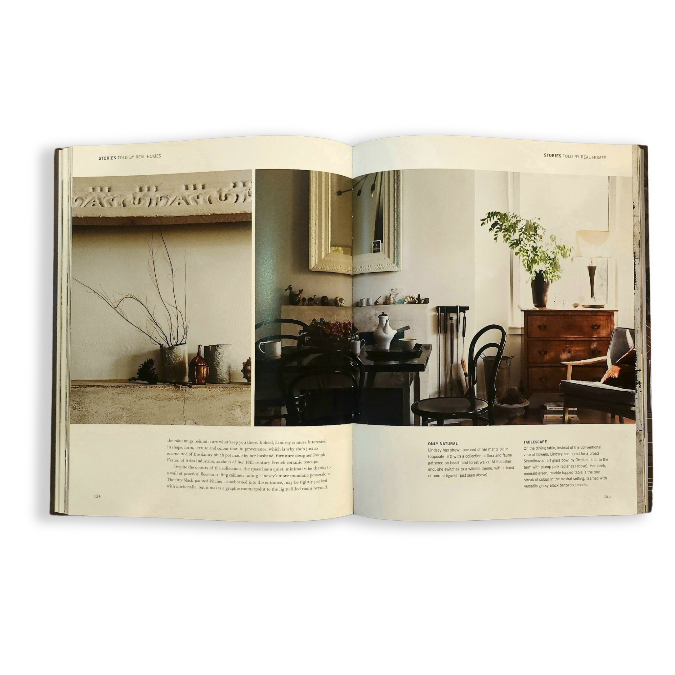 Artbook - Sách Tiếng Anh - Stuff of Life: Arranging things ordinary &amp; extraordinary