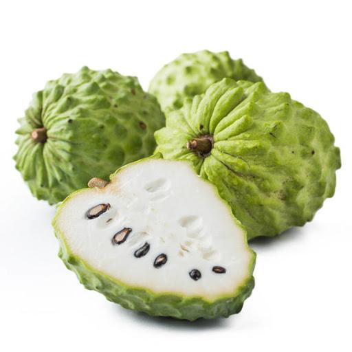 Cây na đài loan, giống na đài loan quả siêu to hạt nhỏ, giống na nhập khẩu