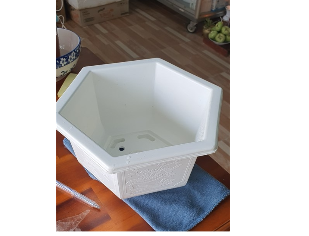 Chậu Nhựa Hoa Văn Trắng Lục Giác 20x15x15