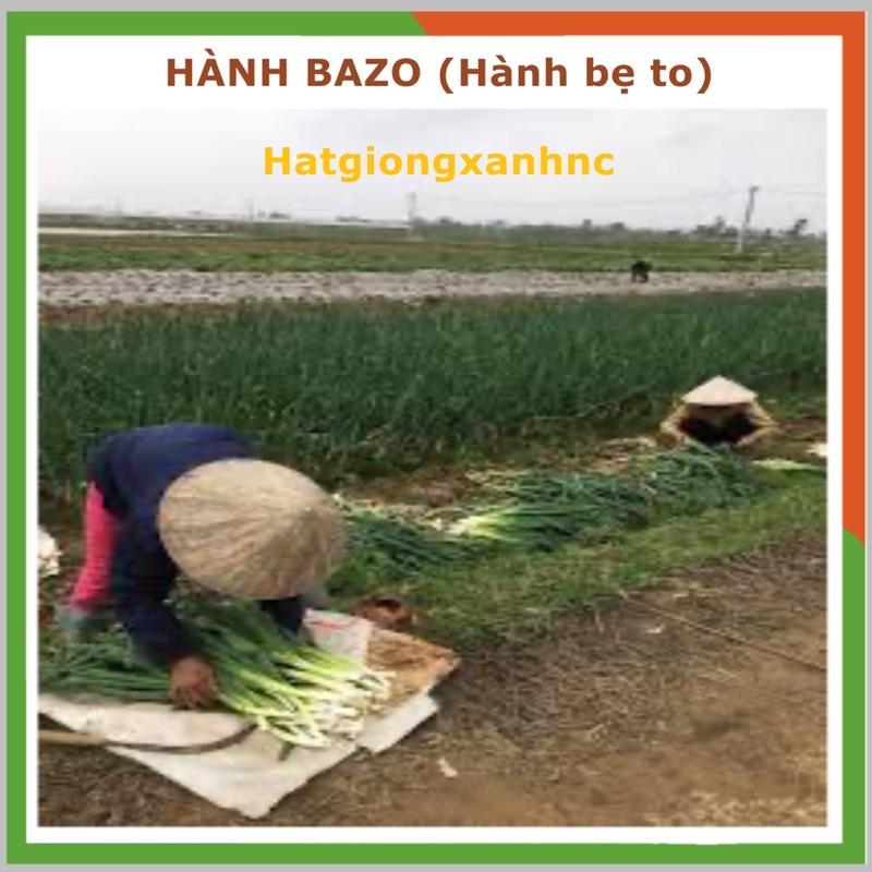 Hạt giống hành bazo lá cọng trắng khổng lồ Egrow, gói 5gr