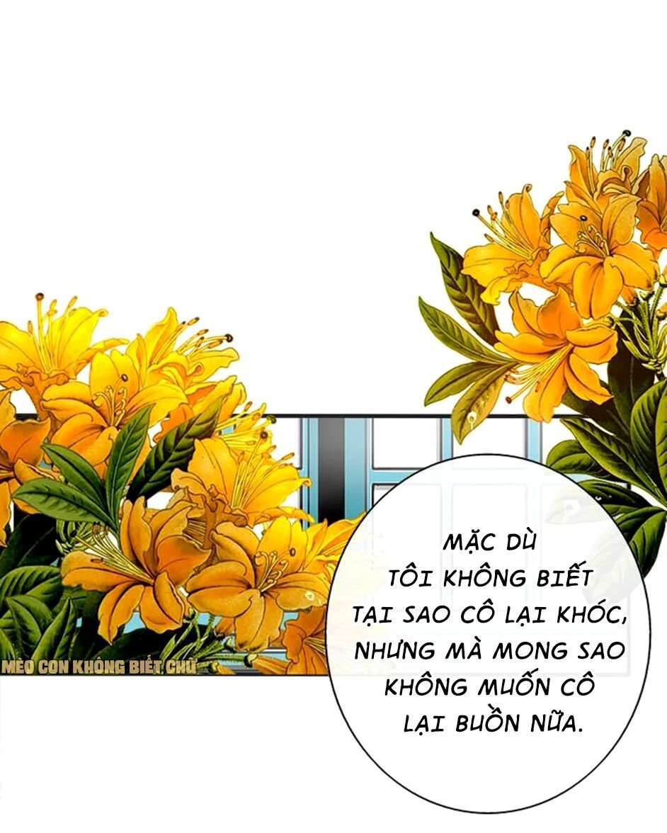 không có ssr làm sao để yêu chapter 9 7