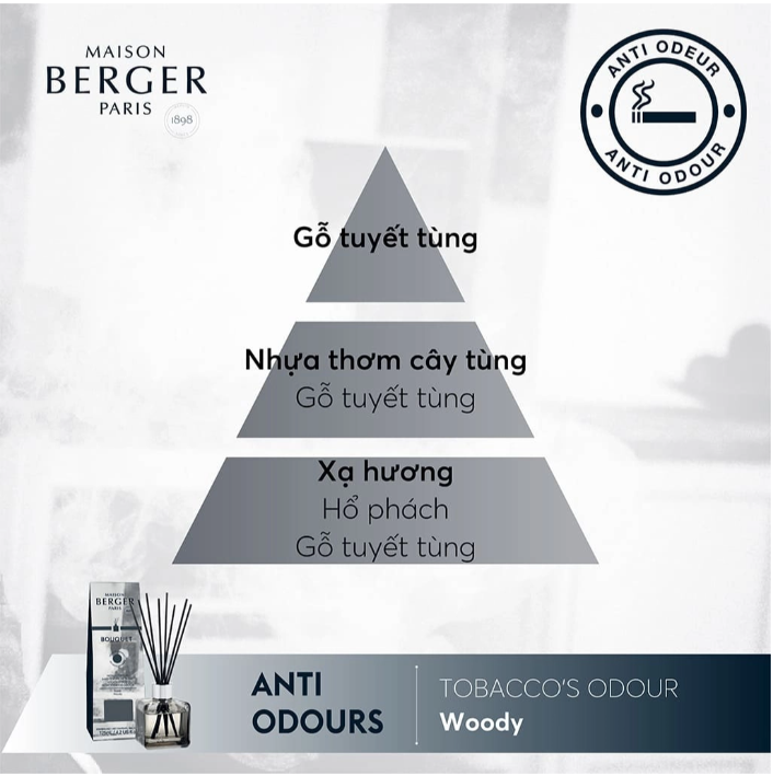 Maison Berger - Bộ tinh dầu xe hơi, khử mùi hương Woody - 2 cái