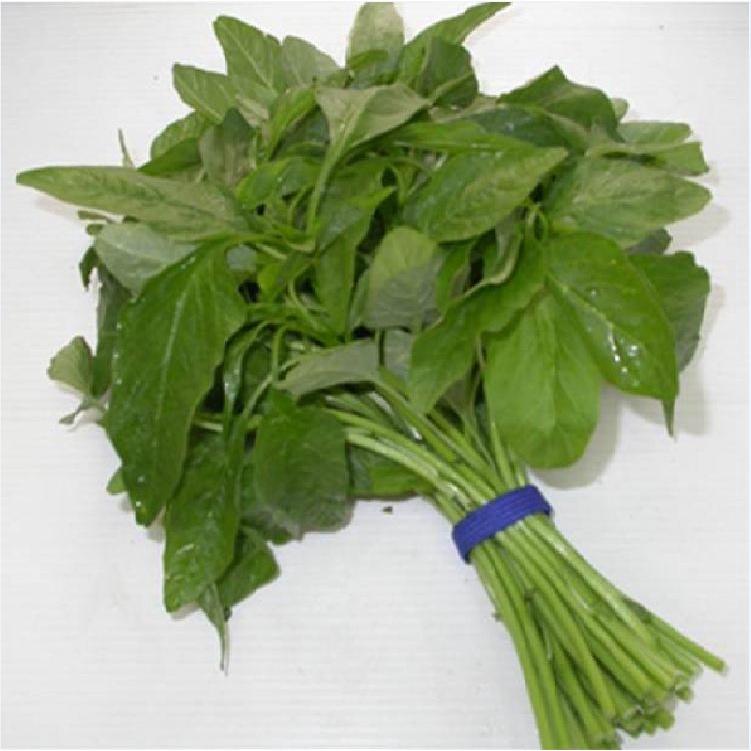 Hạt Giống Dền Xanh Cao Sản - Gói 1kg
