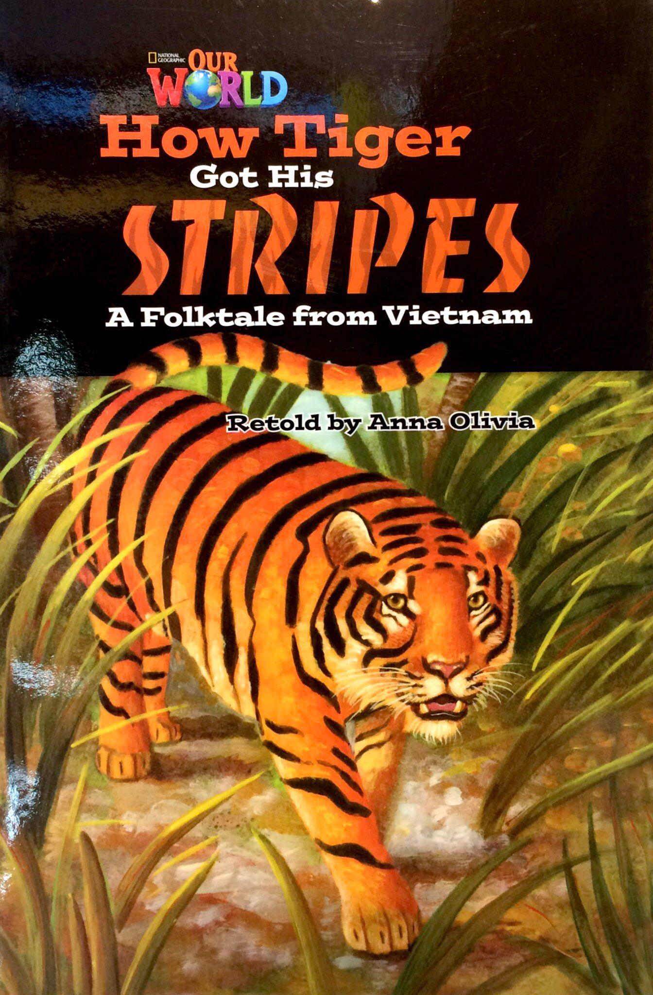 Our World American 5 How Tiger Gothis Stripes