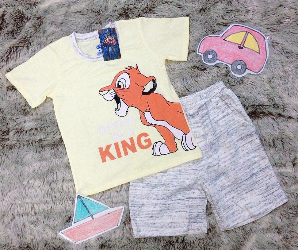 Bộ mặc nhà bé trai Bo012
