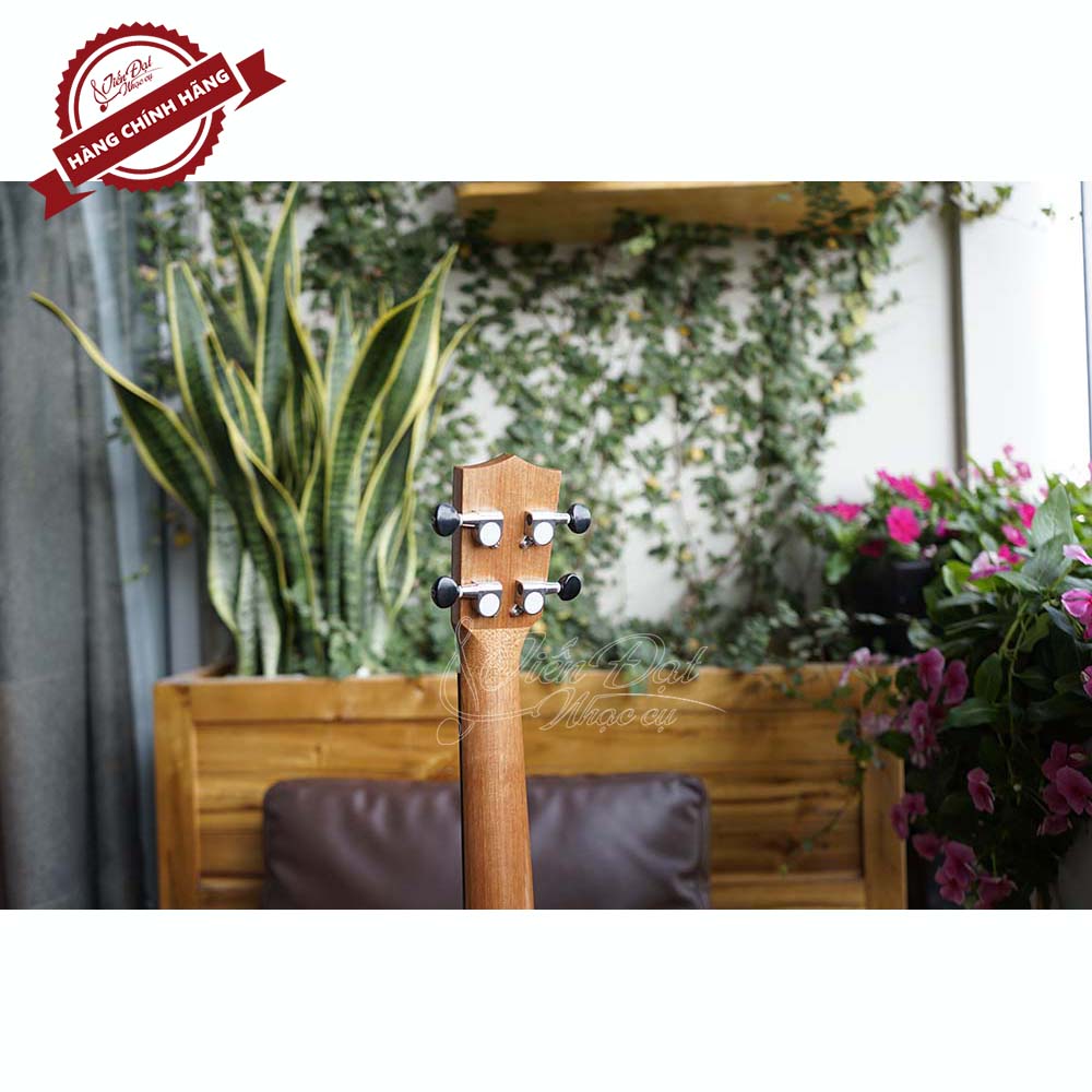 Đàn Ukulele Valote Dòng Concert VA 24M01, 24M02, 24R01 Cao Cấp Tông Nhạc Dày Âm Thanh Trong Trẻo