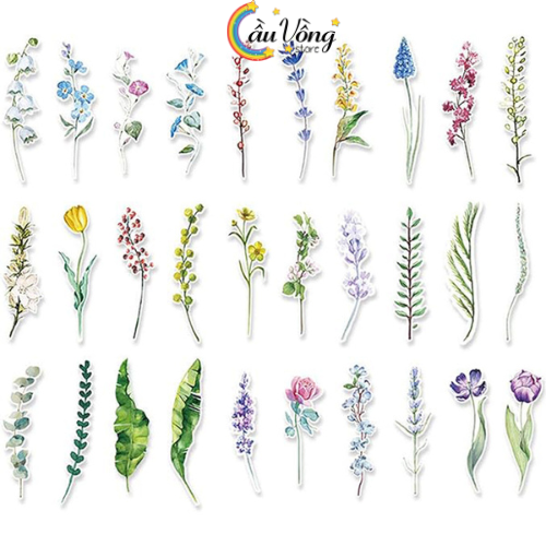 Bộ 30 Bookmark Hình Hoa Lá Đánh Dấu Sách, Kẹp Sách Cho Mọt