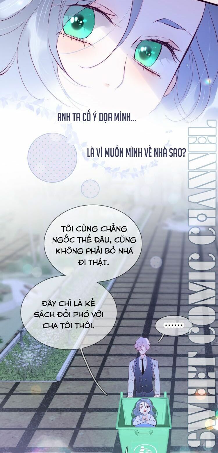 hoa bỏ chạy với nhím rồi chapter 1 41