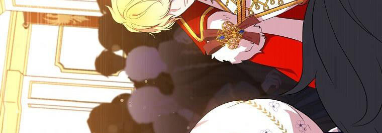 tôi sẽ cố gắng bảo vệ em gái chapter 28.1 329