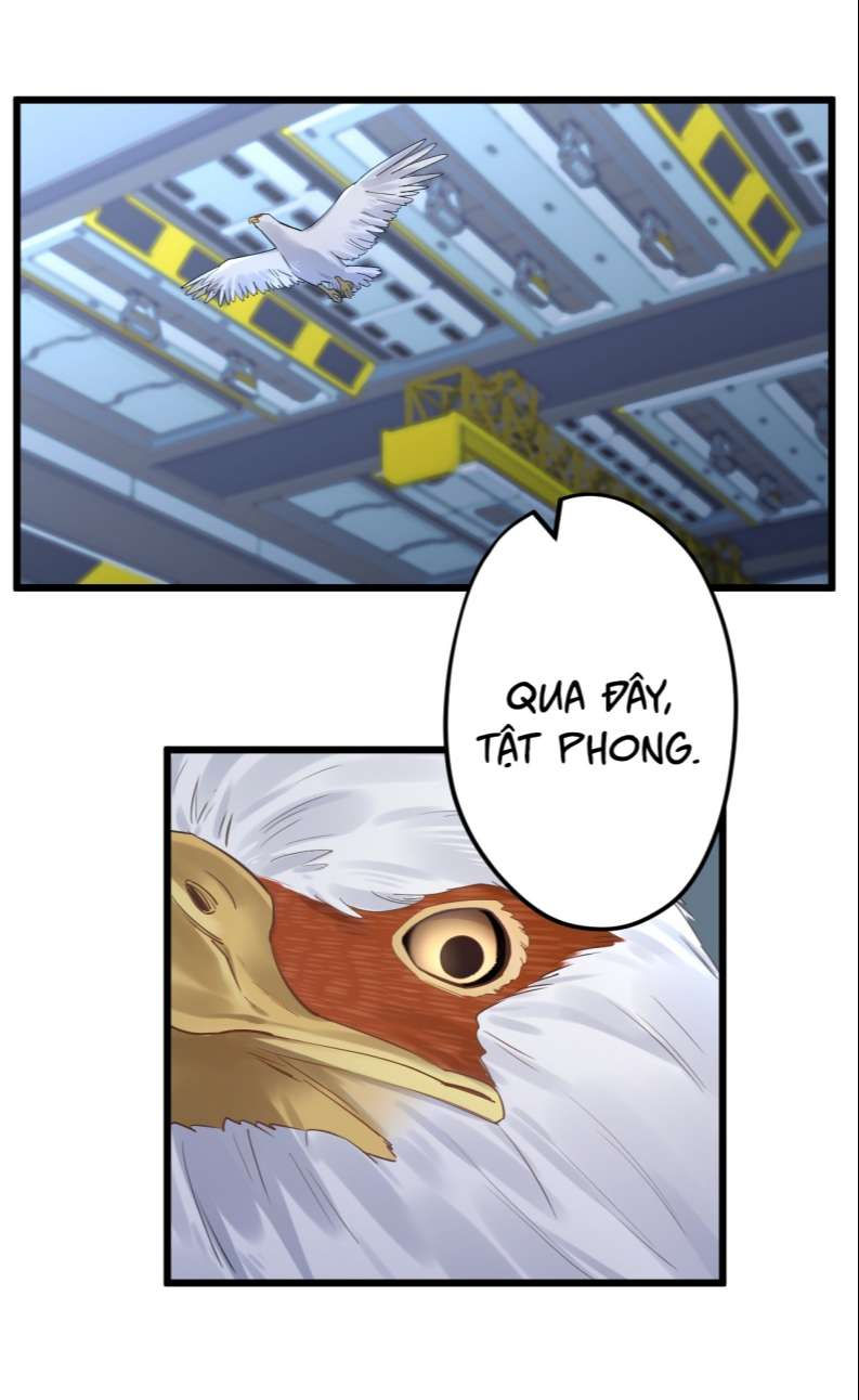 esport nhất kiến chung tình? chapter 20 39