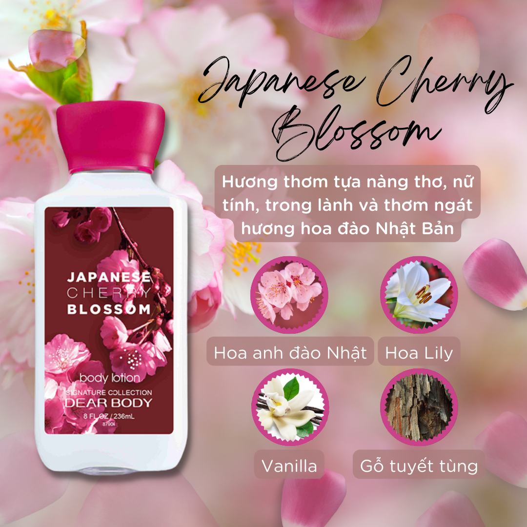 SỮA DƯỠNG THỂ DEAR BODY HƯƠNG NƯỚC HOA - BODY LOTION 236ml - GIẢI PHÁP CHĂM SÓC CƠ THỂ MỀM MỊN - TRẮNG SÁNG VÀ LƯU HƯƠNG SUỐT NHIỀU GIỜ