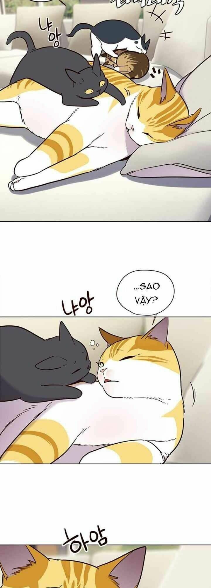 biến thân thành mèo chapter 101 4