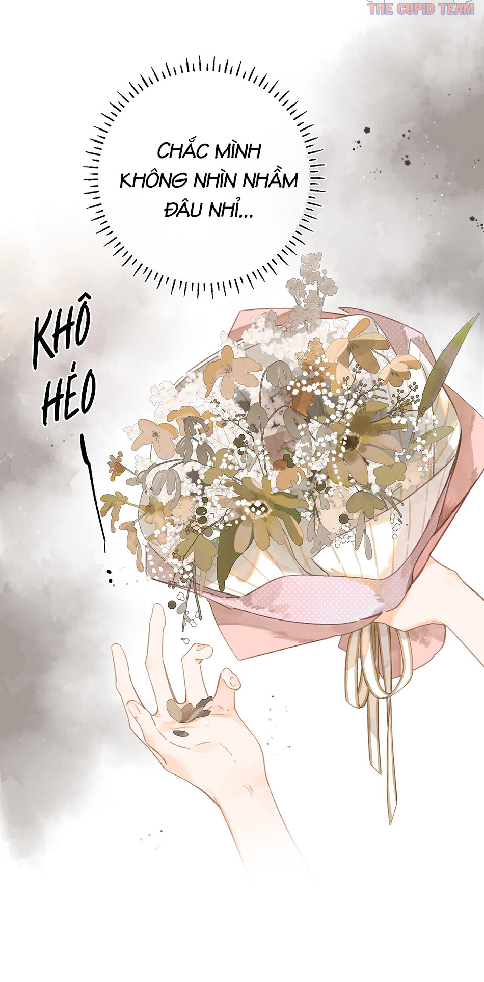 tiệm hoa hướng dương ở góc phố chapter 8 36