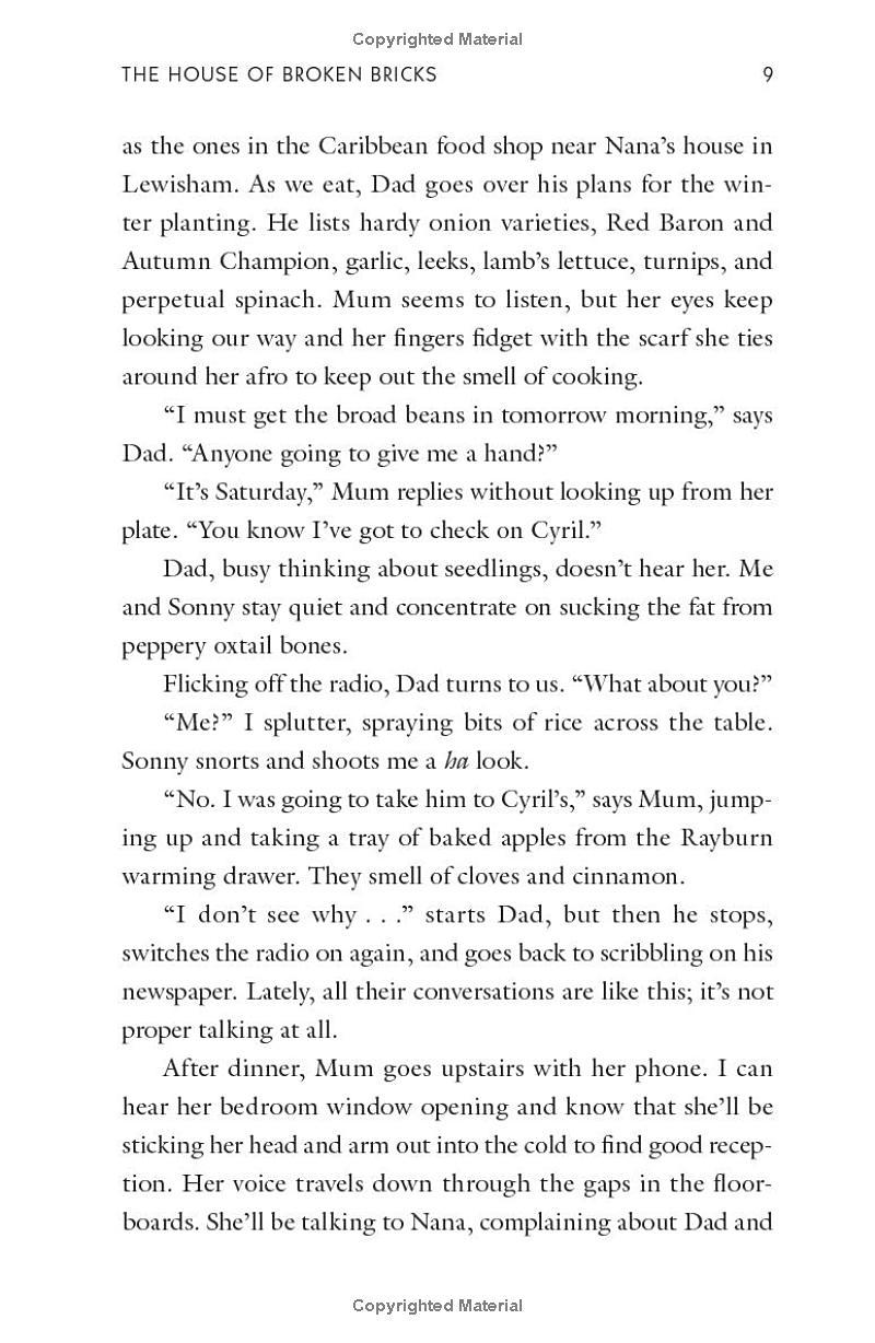 Sách ngoại văn: The House Of Broken Bricks