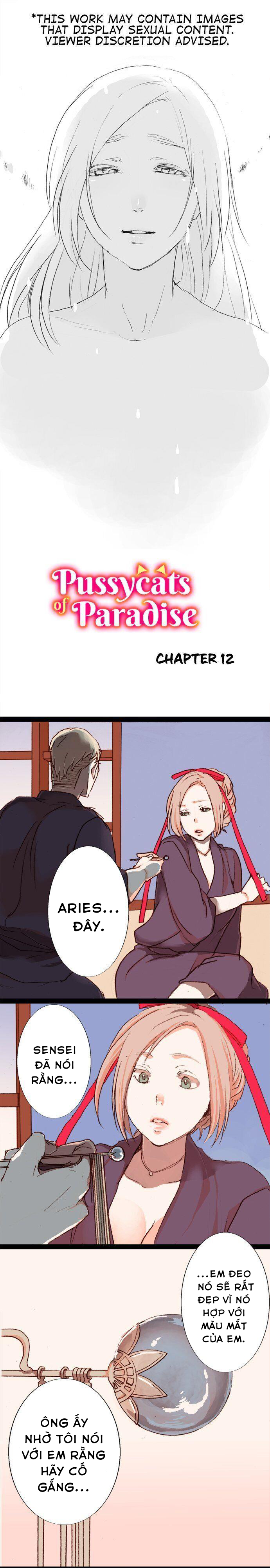 chú mèo đến từ thiên đường chapter 12.1 2