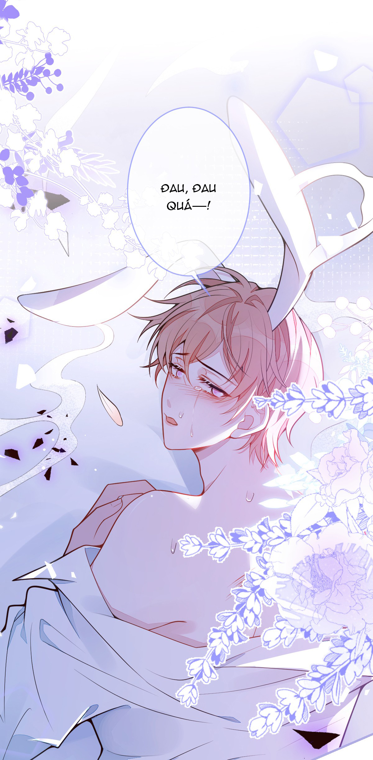 ân sủng của sói chapter 5 8