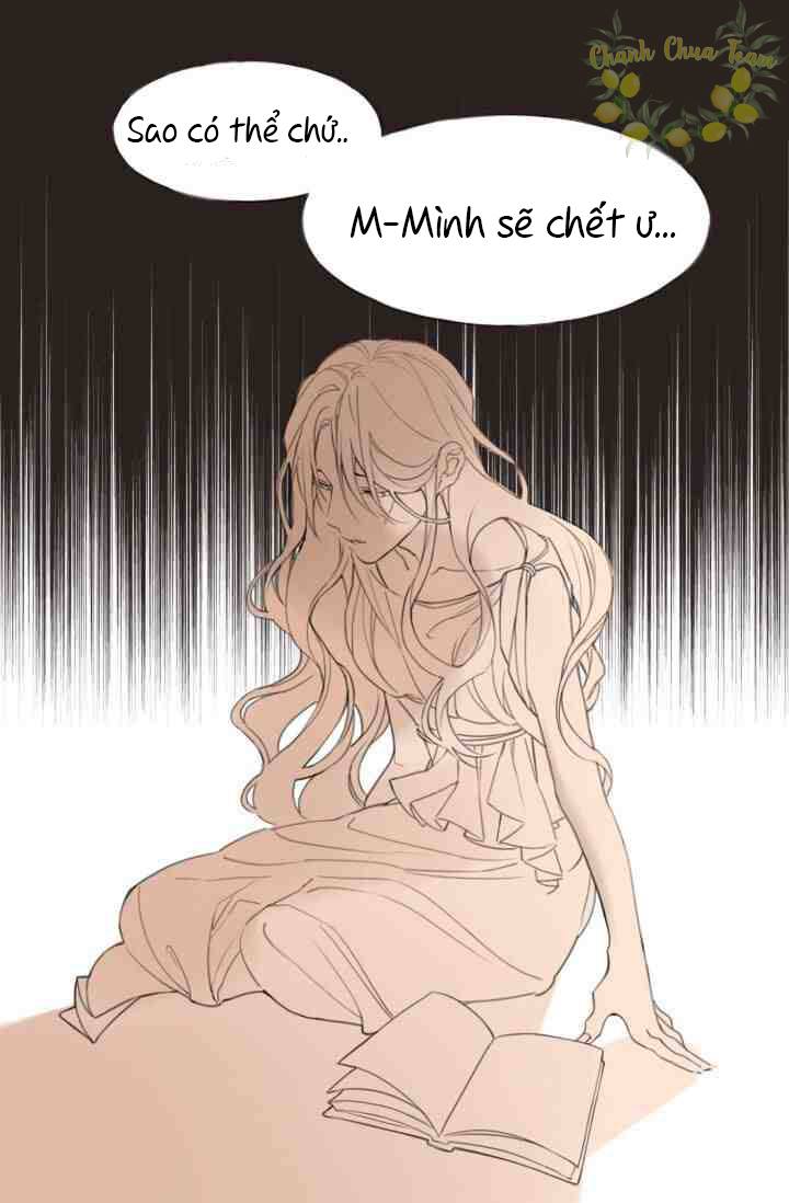 tuyển tập các chương prologue hàn chapter 24 13