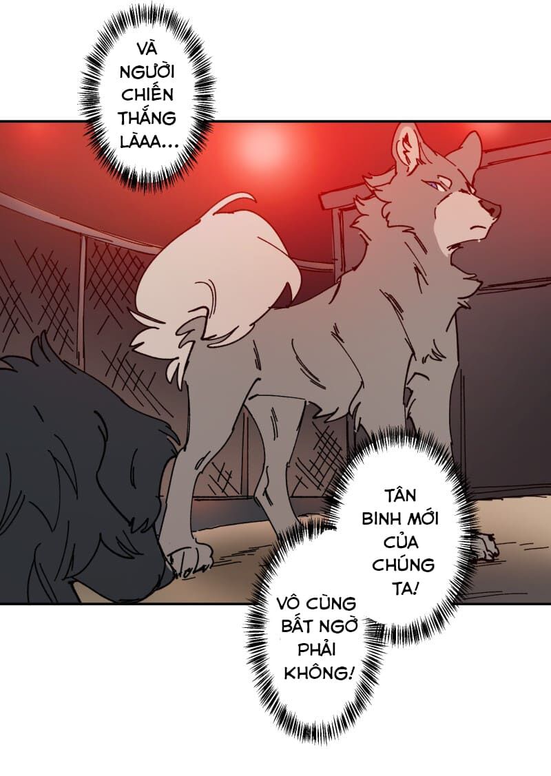 lumine - cội nguồn ánh sáng chapter 106 20