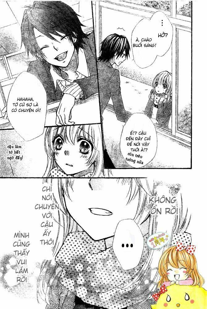 tình yêu của hiyo chapter 8 31
