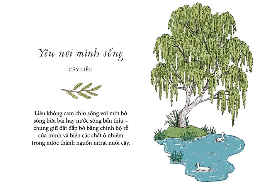 Sống Như Những Cái Cây - Những Bài Học Nhỏ Để Có Nguồn Hạnh Phúc Bất Tận (Tái Bản 2021)