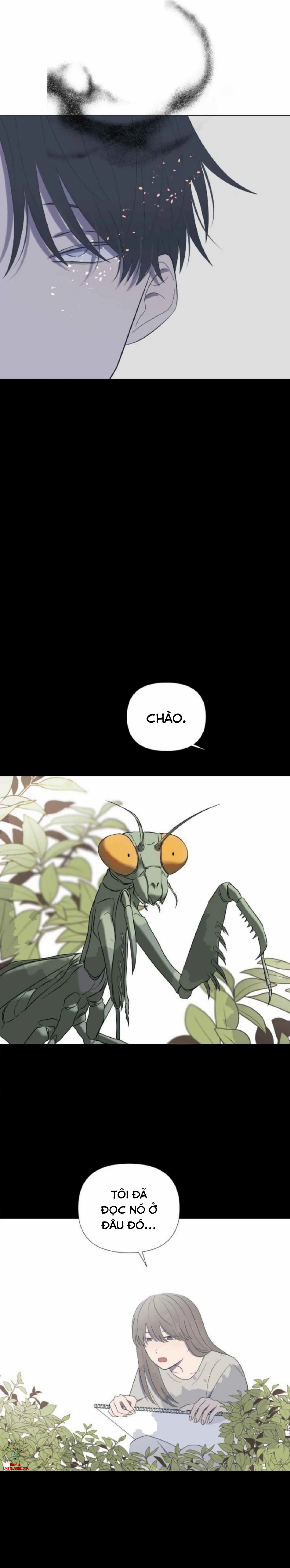 moonchild chapter 28 21