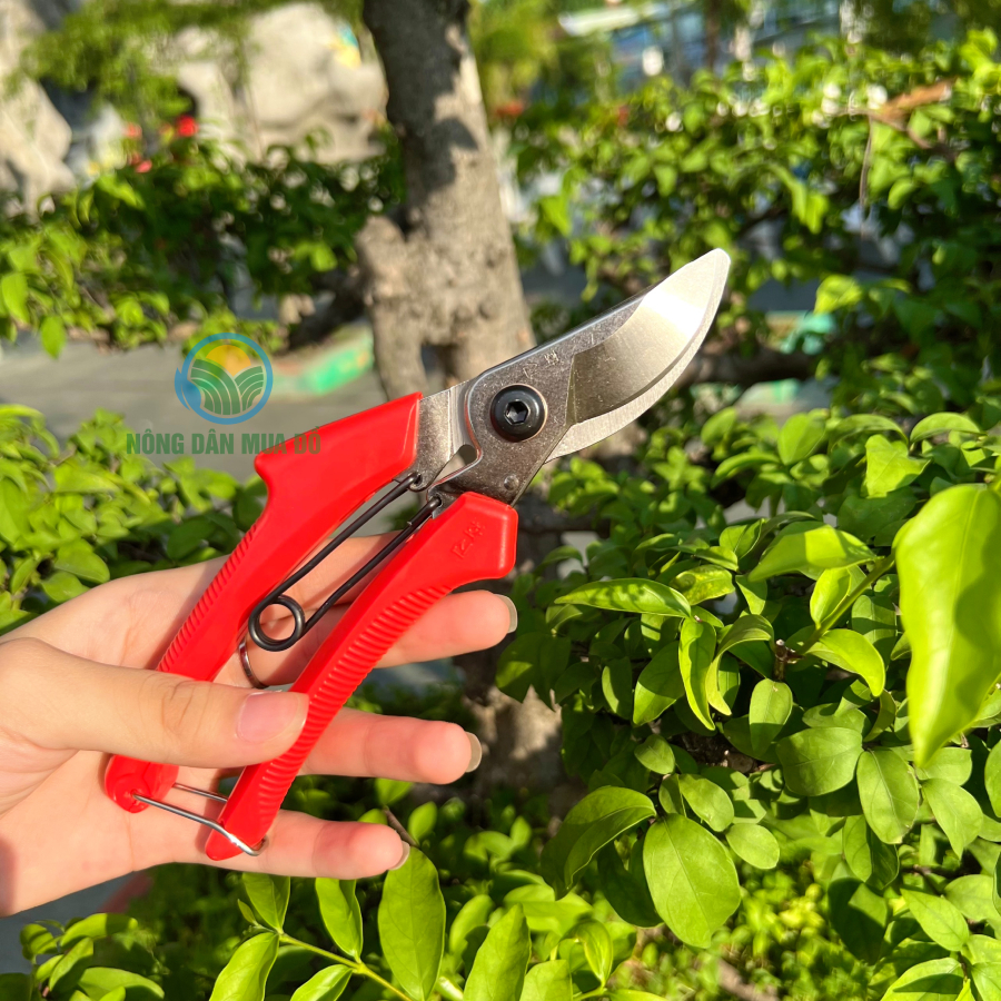 Kéo cắt cành S-250 đa chức năng, Kéo cắt vườn siêu sắc hàng loại 1