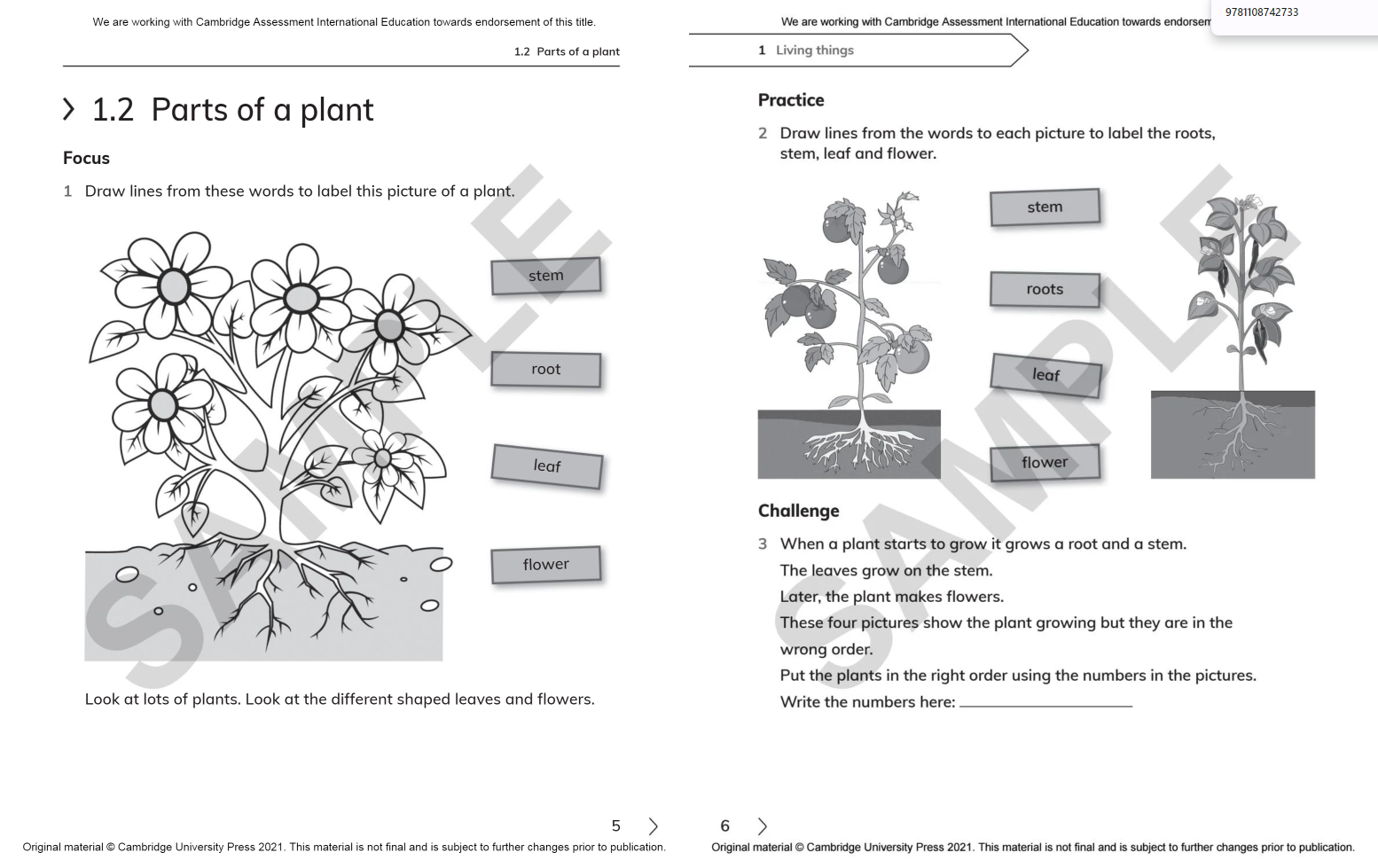 Cambridge Primary Science Workbook 1 With Digital Access (1 Year) 2nd Edition