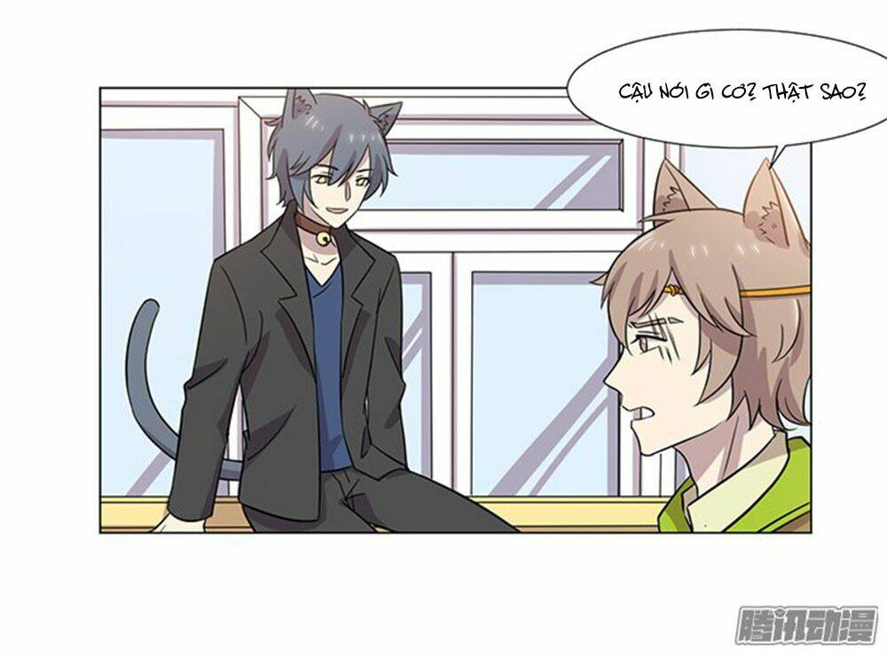 hai chú mèo totem chapter 39 25