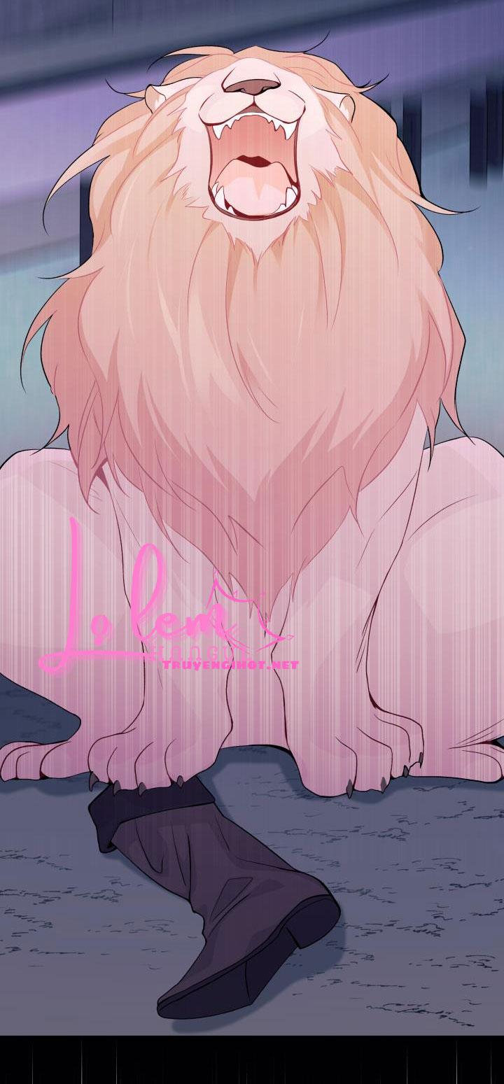 mối liên kết giữa báo đen và bé thỏ chapter 37.2 18