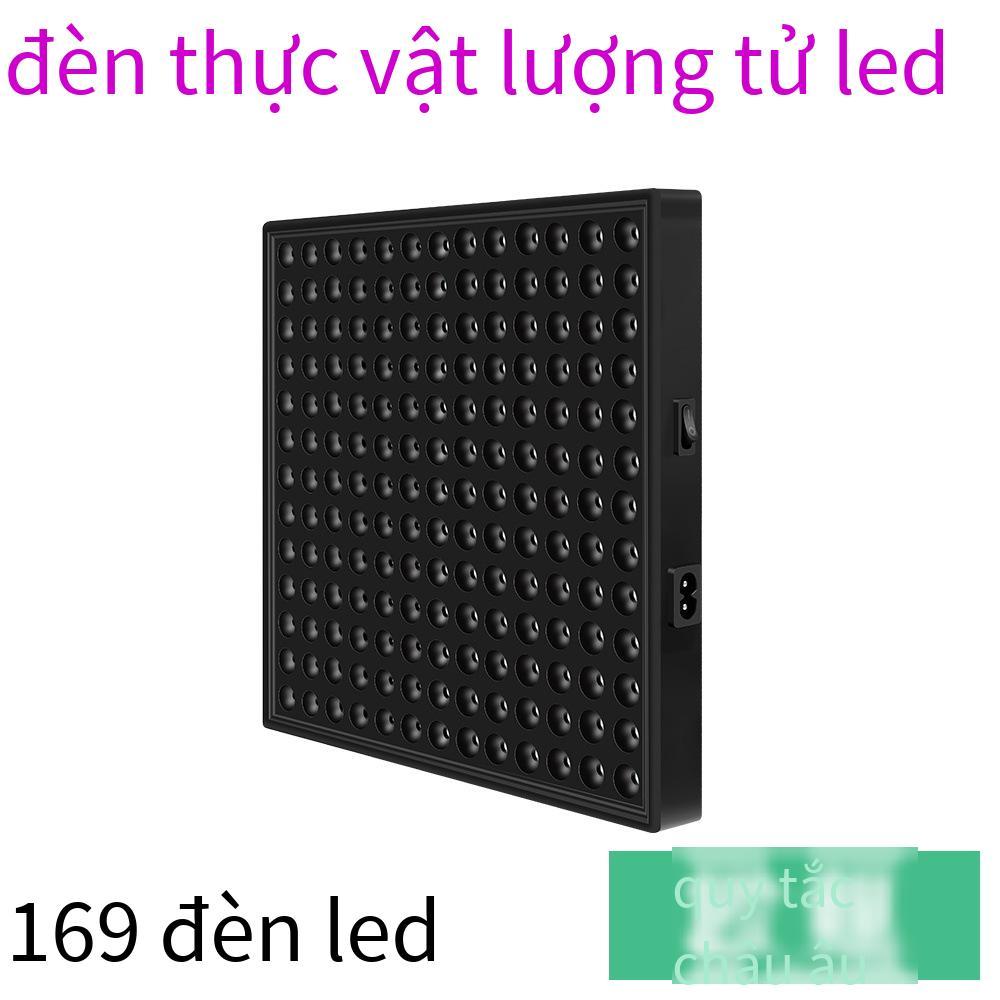 Đèn LED nhà máy thuận lợi nhất bảng lượng tử cây giống nhà kính cây mọng nước tăng trưởng lấp đầy ánh sáng toàn phổ thực vật đèn thực vật
