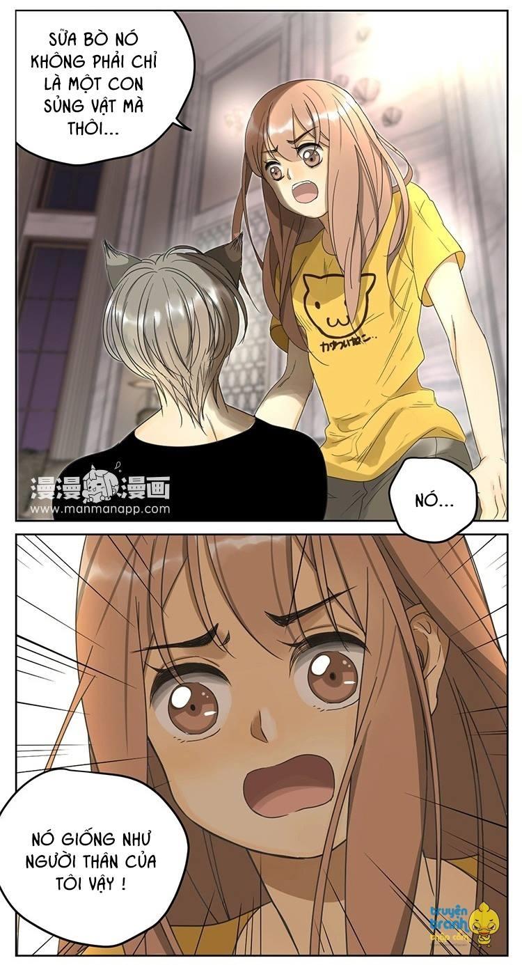 cứu mạng ! loài mèo thống trị thế giới rồi ! chapter 11 11