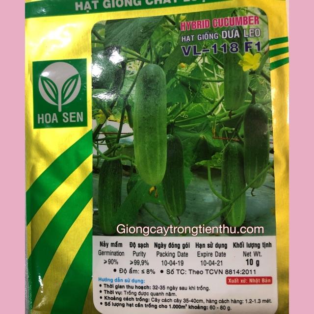 HẠT GIỐNG DƯA LEO VL-118 F1