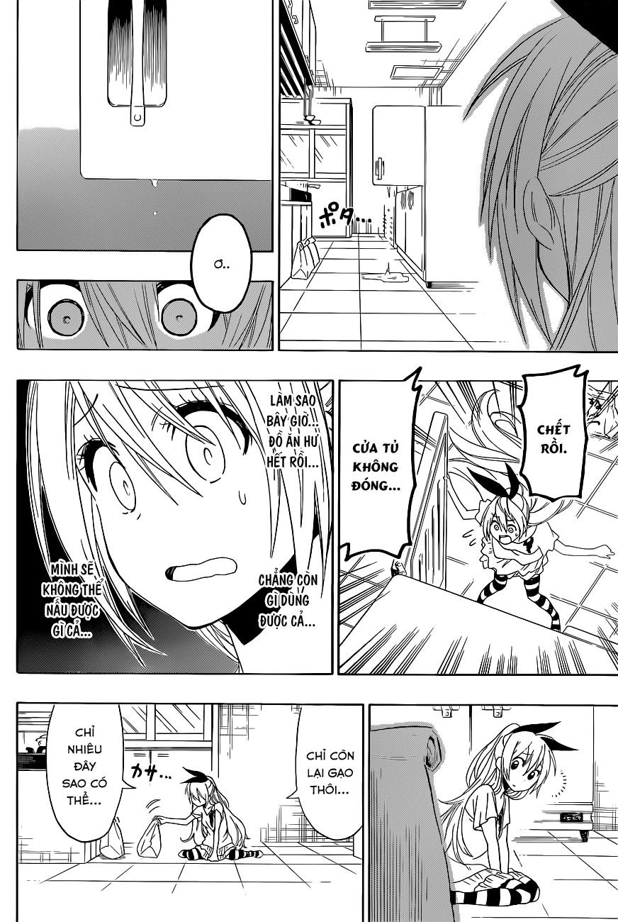 nisekoi - tình yêu giả tạo chapter 116 17