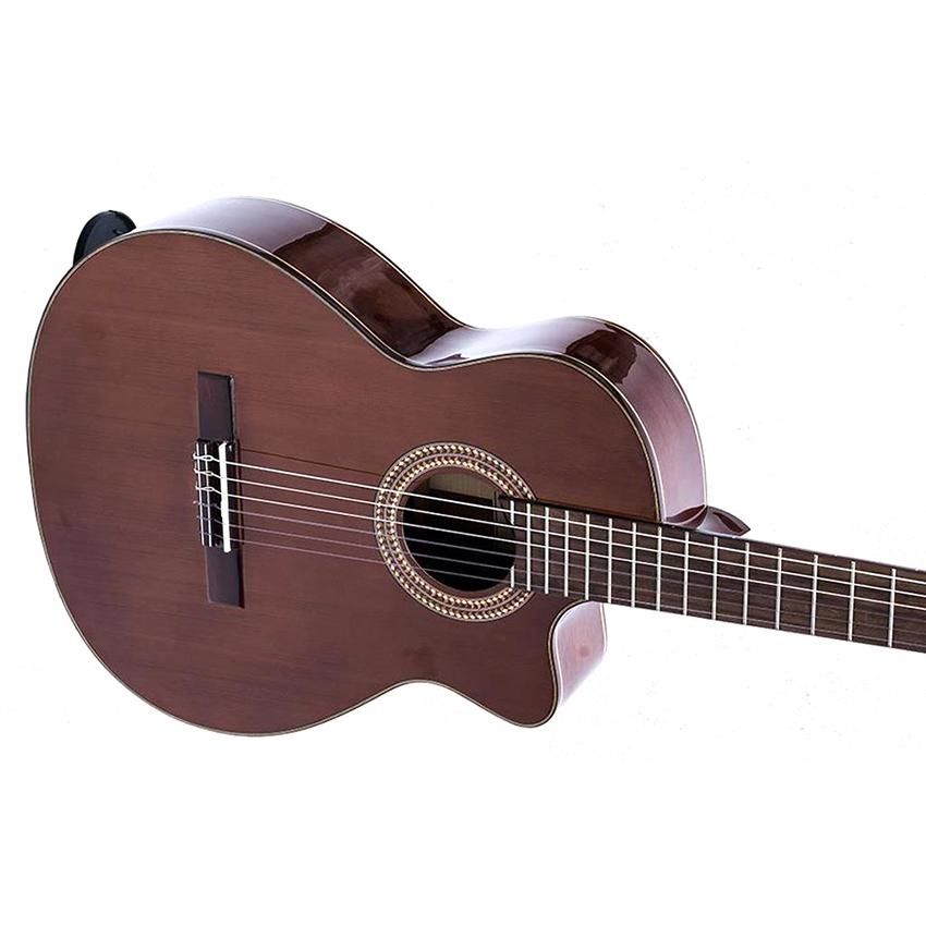 Guitar Classic DC250