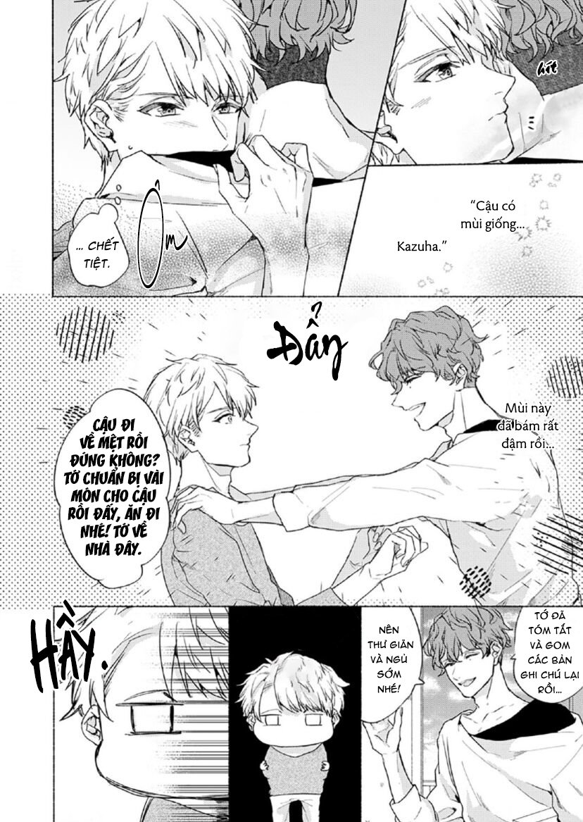 vết cắn tình đầu chapter 8 10