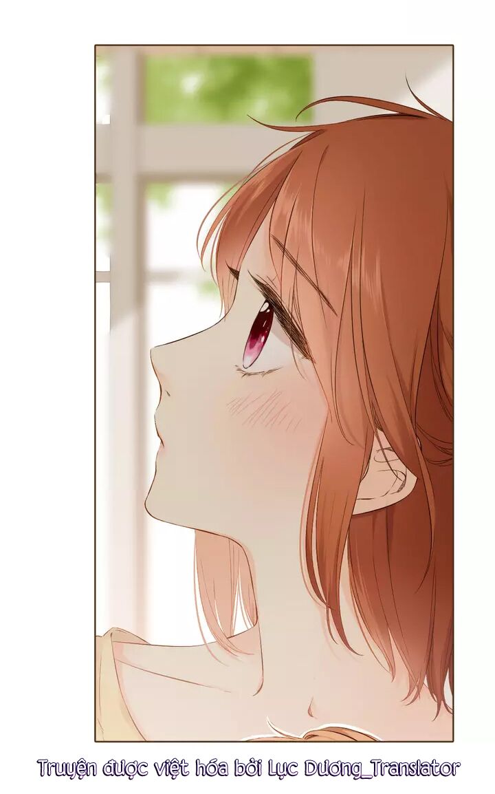 Tình yêu là màu hoa anh thảo chapter 35.3 11