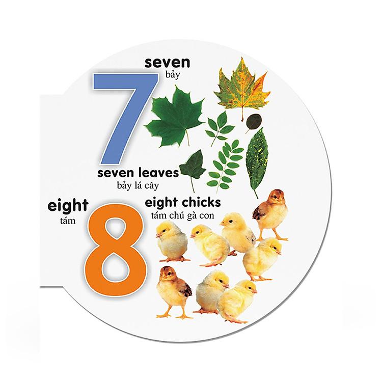 Sách Picture Dictionary - Từ điển bằng hình