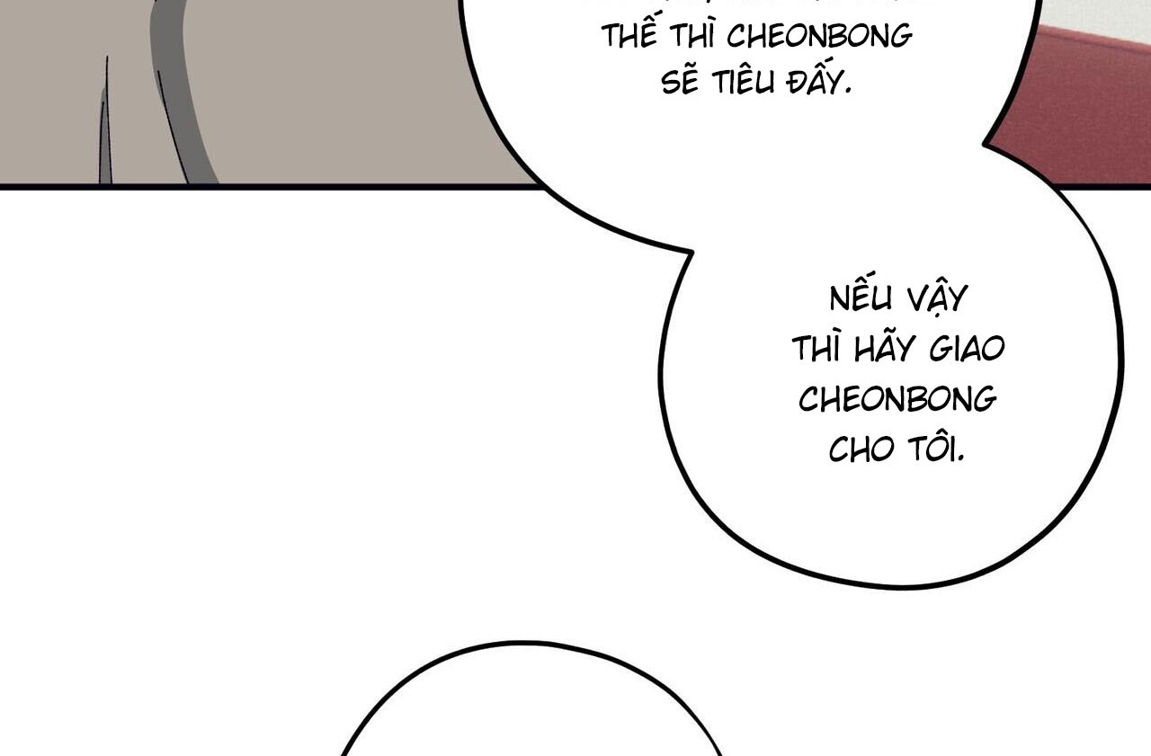 chàng dâu nhà họ kang chapter 42 144