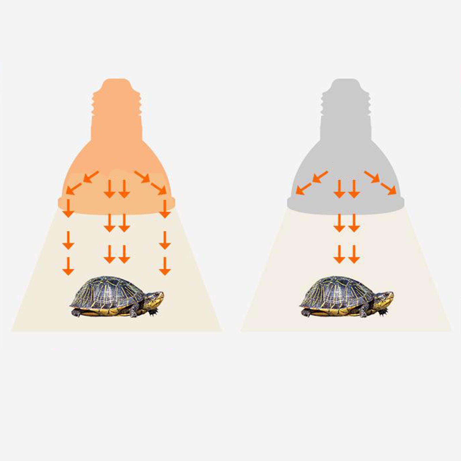 Led Reptile Light Sun Lamp for Amphibian Turtle Chameleon Lizard Snake