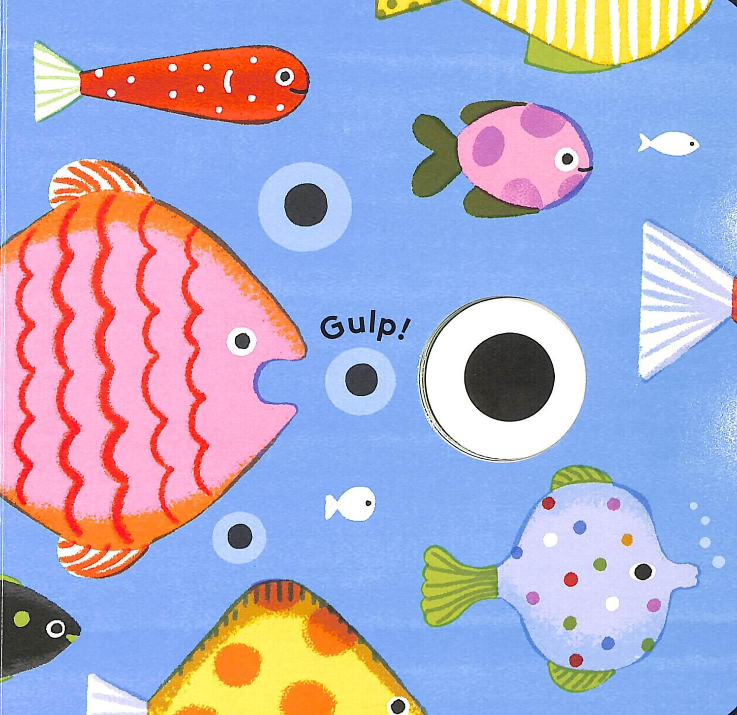 Sách ngoại văn: Little Life Cycles - Frog