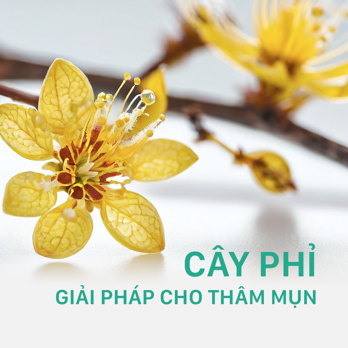 Xịt viêm nang lông viêm lỗ chân lông UMIHA  45ml giảm viêm nang lông, mụn lưng, ngực mông, mờ thâm sáng da