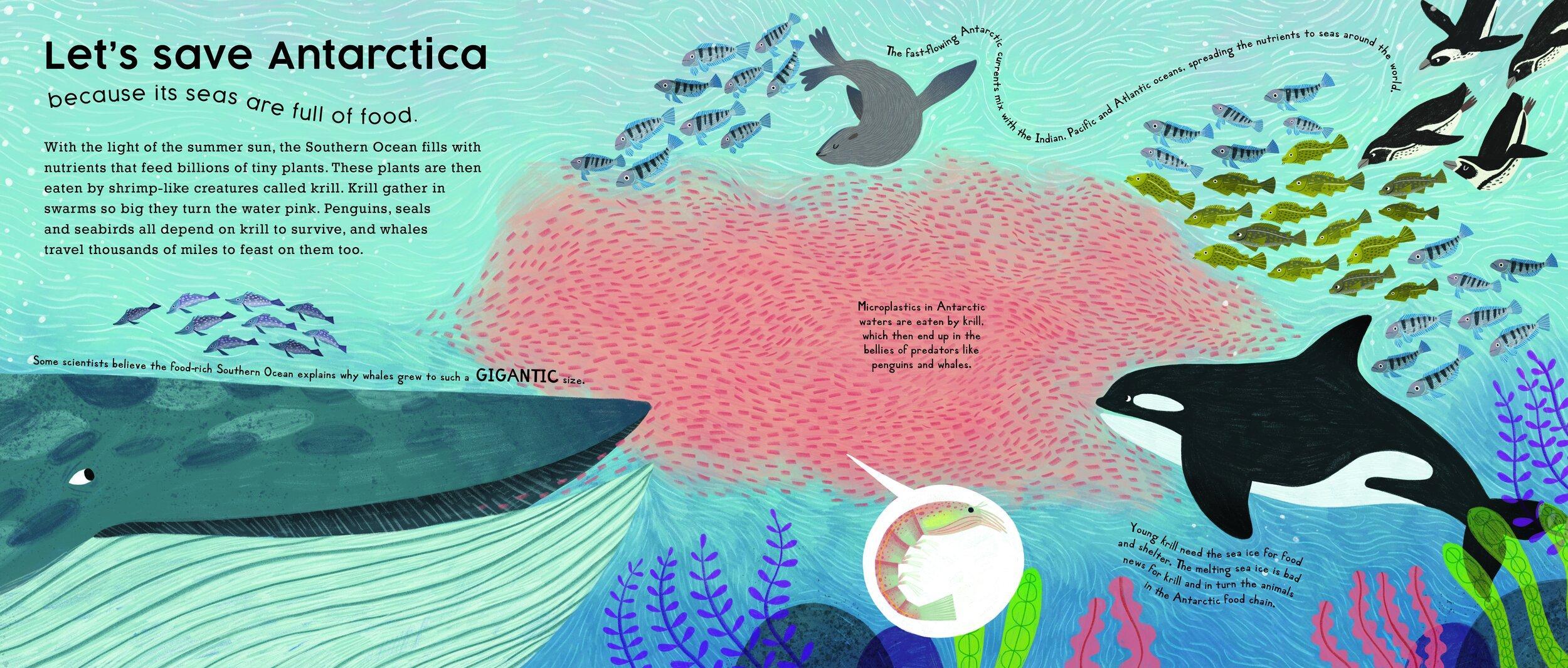 Let's Save Antarctica: Why we must protect our planet