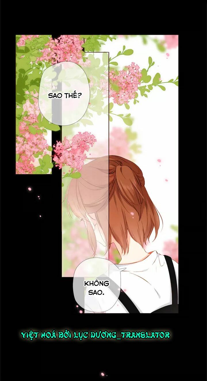 Tình yêu là màu hoa anh thảo chapter 35.1 13