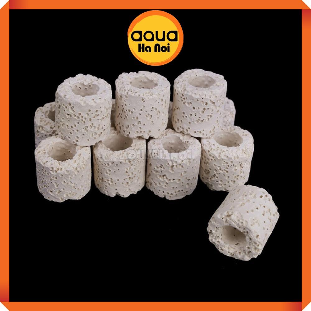 Lọc thác ZY 003 treo hồ cá cảnh thủy sinh mini - tiết kiệm điện - Có hút mặt lọc váng