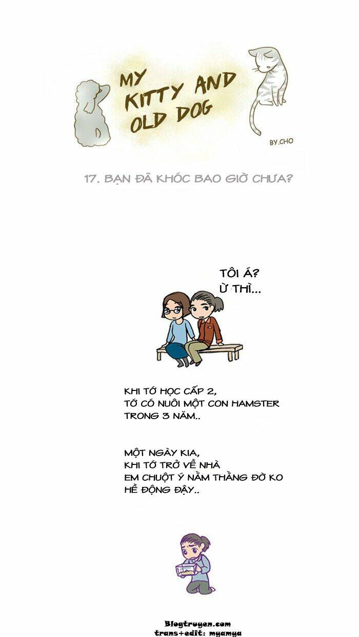 my kitty and old dog chapter 17 2