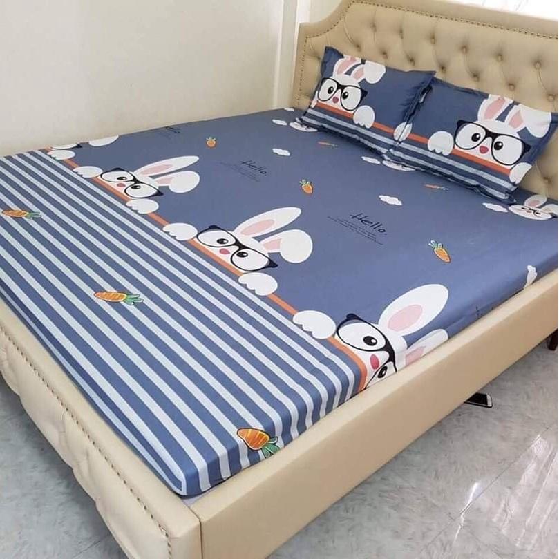 Ga Giường Chống Thấm Cotton Cao Cấp Goodmama Chính Hãng Bảo Hành 6 Tháng