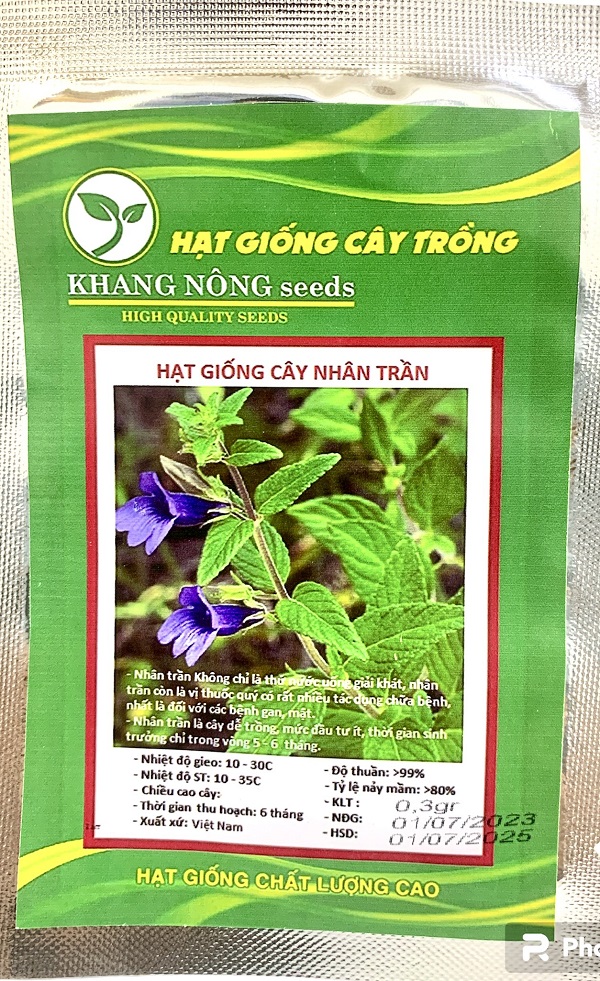 Hạt Giống Nhân Trần - Hạt Nhân Trần Dược Liệu 4 Mùa