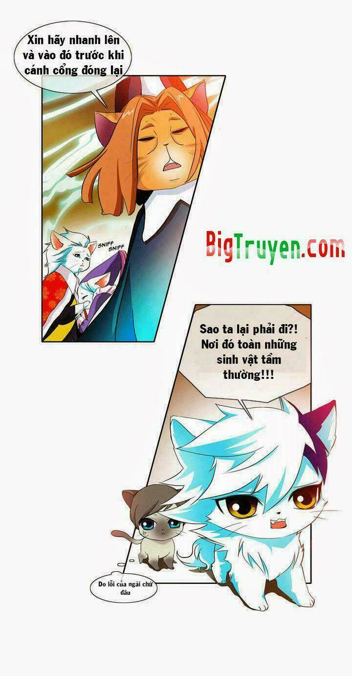 hoàng tử mèo đáng ghét chapter 1 4