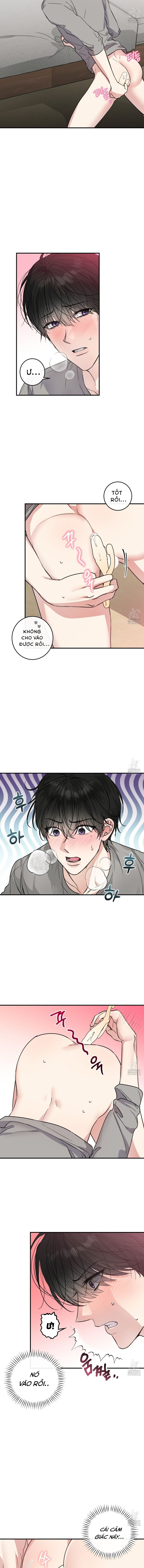 mối quan hệ cộng sinh giữa mặt trăng và mặt trời chapter 2 11